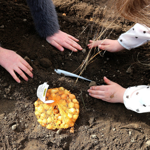 SSSL - Jeugdtuin 19 maart BIXO