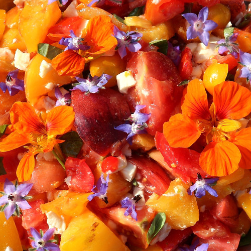 Voeding - Tomatensalade